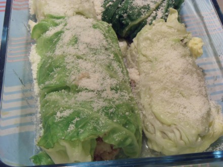 stuffed cabbage ready for the oven